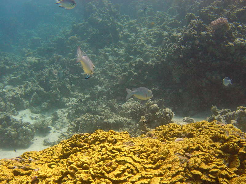 red sea_087.jpg